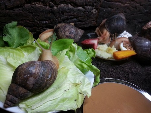 auf die plätze fertig los.jpg