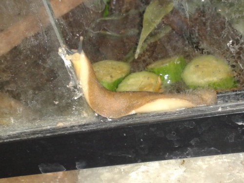 2014-06-14 11.30.40.jpg