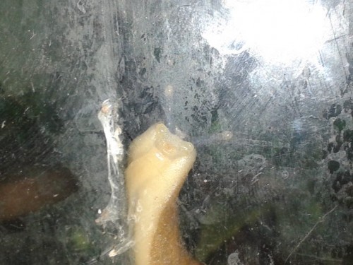 2014-06-14 11.30.31.jpg