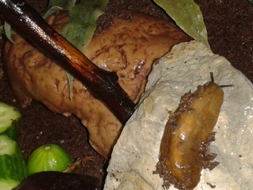 2014-06-12 18.37.01.jpg