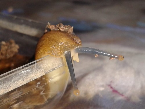 2014-06-12 18.33.41.jpg