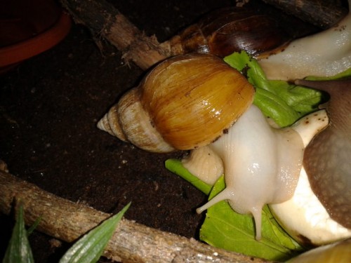 2014-06-15 22.01.08.jpg