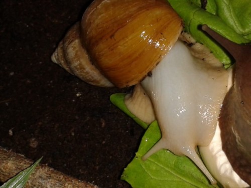 2014-06-15 22.00.50.jpg