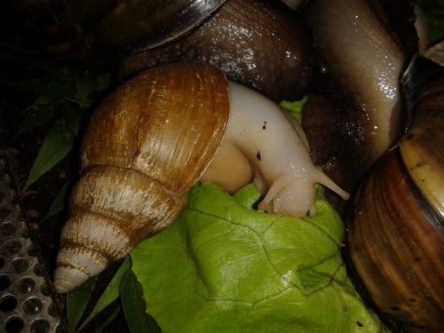 2014-06-15 22.01.18.jpg