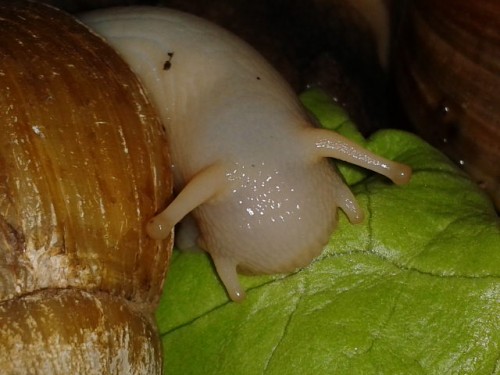 2014-06-15 22.02.25.jpg