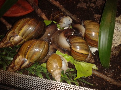 2014-06-15 22.12.54.jpg