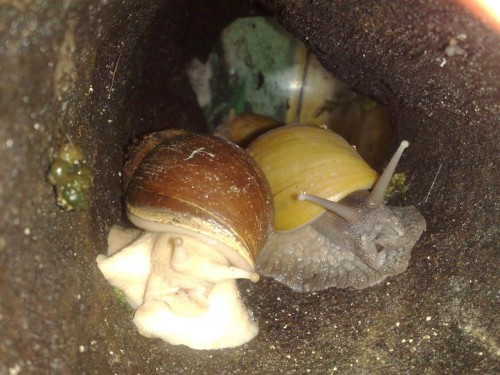 170620143568 - Kopie.jpg