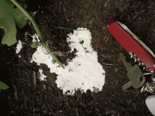mini2_2014-06-21-15.25.58.gif