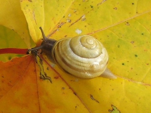 2005_1022Bild0046a.JPG