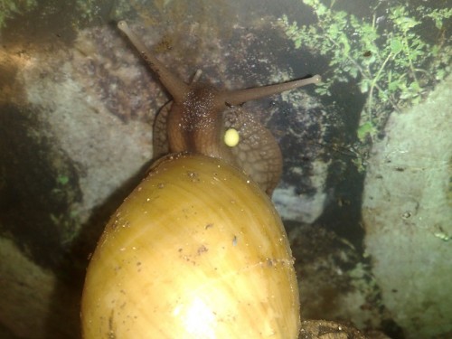 220620143578 - Kopie.jpg