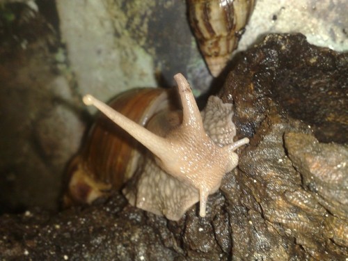 190720143622 - Kopie.jpg