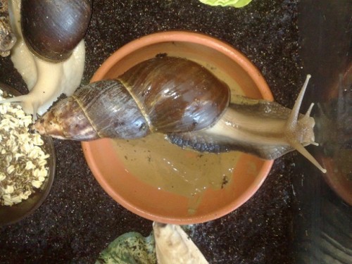 190720143606 - Kopie.jpg