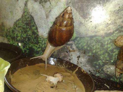 190720143623 - Kopie.jpg