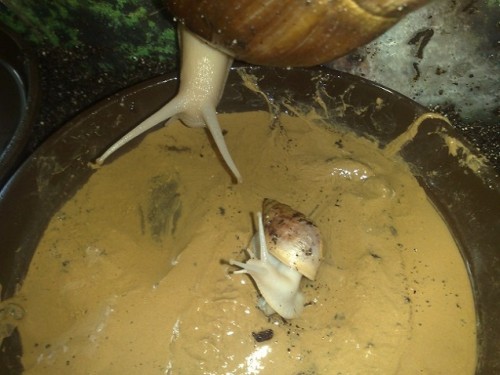 190720143625 - Kopie.jpg