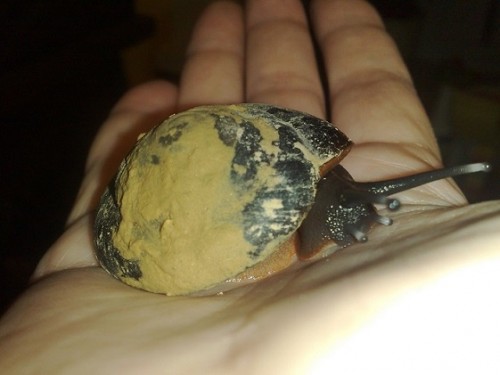 270720143647 - Kopie.jpg