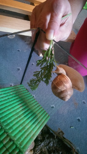 IMAG0910.jpg