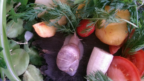 IMAG0905.jpg