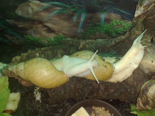 061020143757 - Kopie.jpg