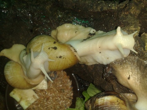 061020143760 - Kopie.jpg