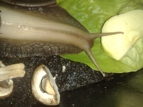 061020143758 - Kopie.jpg