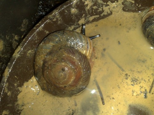 101020143763 - Kopie.jpg