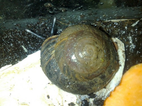 101020143764 - Kopie.jpg