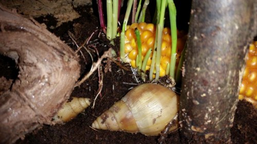 20141113_141021_800x450.jpg