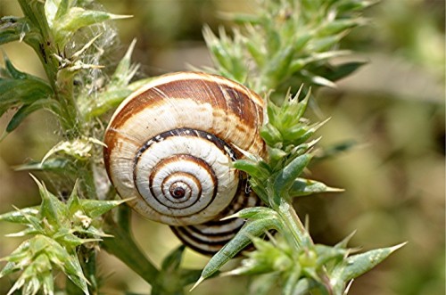 _DSC1041 Ausschnitt, Kontrast, Schärfe, klein.JPG