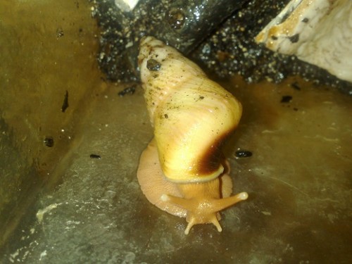 170320153804 - Kopie.jpg