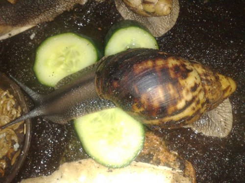 170320153798 - Kopie.jpg