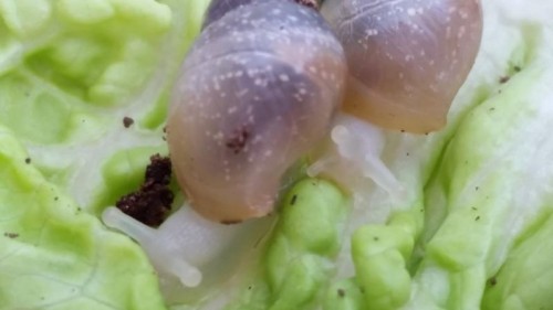 20150412_170640_800x450.jpg
