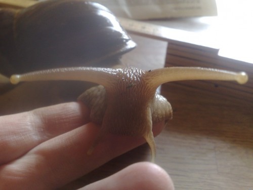 130420153813 - Kopie.jpg