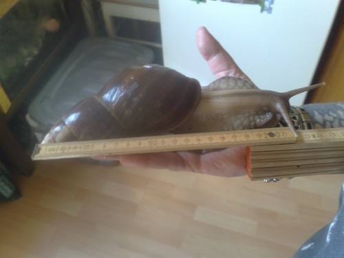 130420153814 - Kopie.jpg