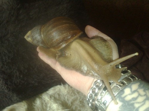 130420153816 - Kopie.jpg