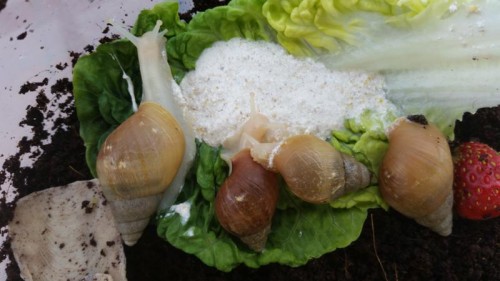 20150621_141422_800x450.jpg