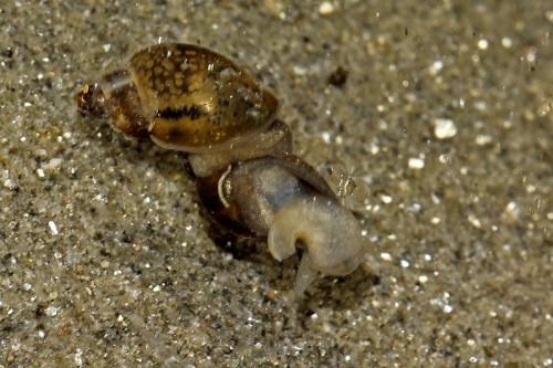 _MG_7144.jpg