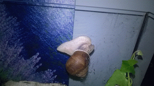 Weini schlafend.gif