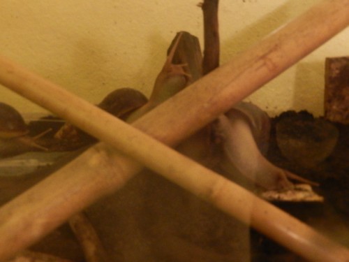DSCN1716.JPG