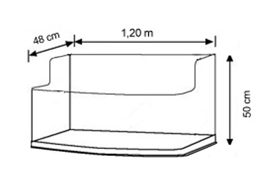 Bild-Aquarium.jpg