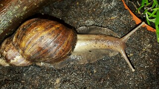 20150929_153025-320x180.jpg