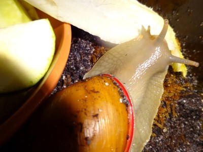 Kamera 06.10.2015 196.JPG