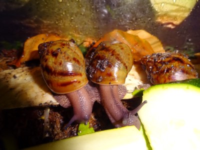 Kamera 12.09.2015 007.JPG