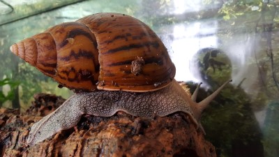 Handy  28.08.2015 126.jpg