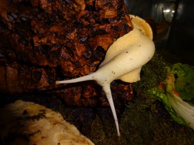 Kamera 29.08.2015 007.JPG