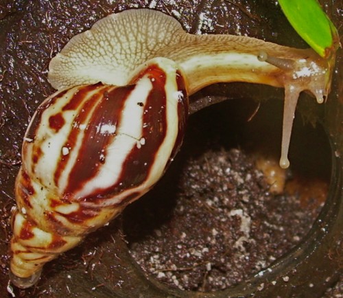 DSCN8238.JPG