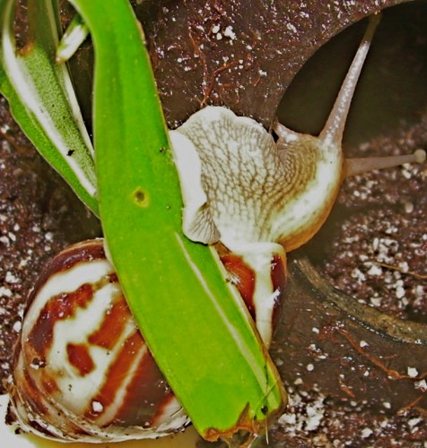DSCN8277.JPG