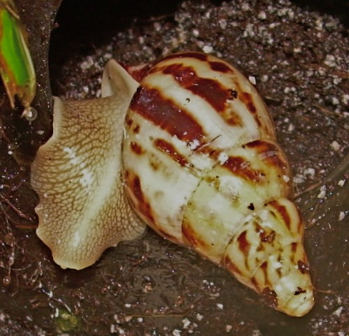 DSCN8284.JPG