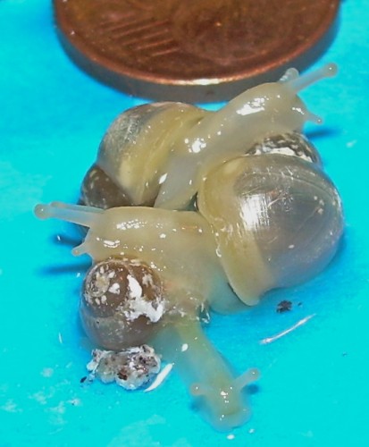 DSCN8174.JPG