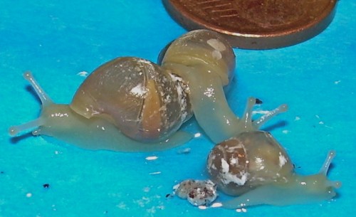 DSCN8177.JPG
