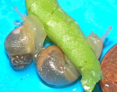 DSCN8189.JPG